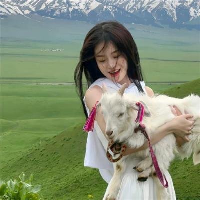 陀枪师姐3粤语